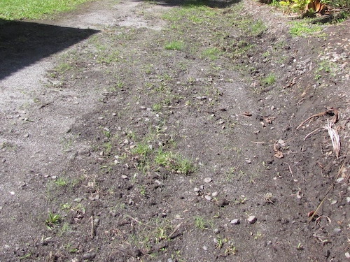 after before