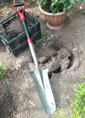 root shearing shovel